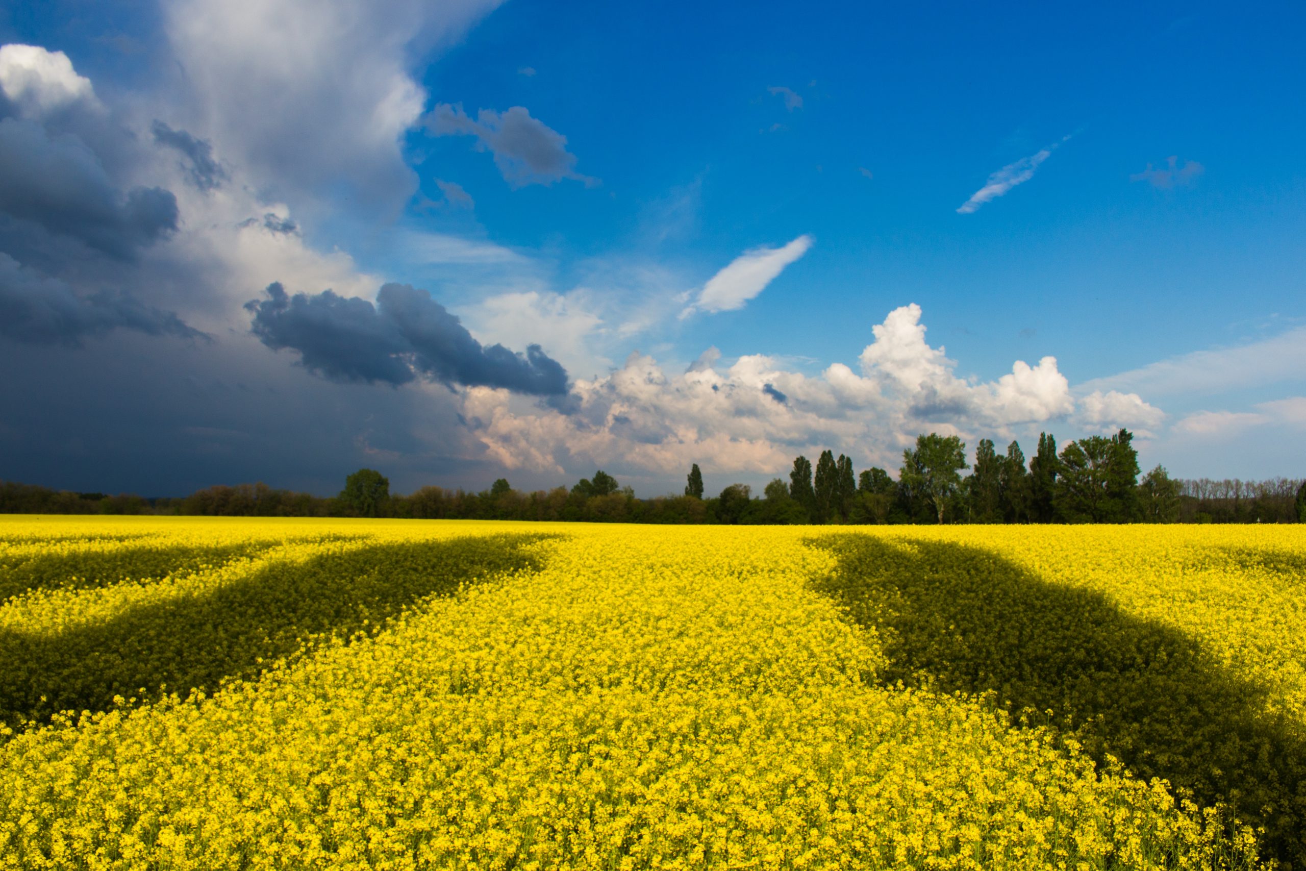 Психологічні консультації українською мовою